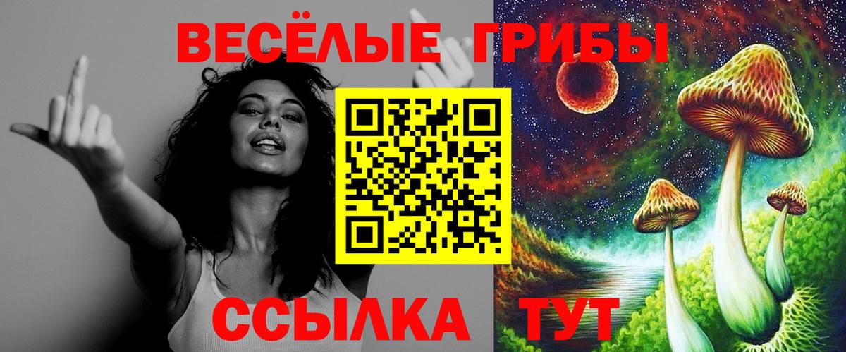 Галлюциногенные грибы Magic Shrooms Белово