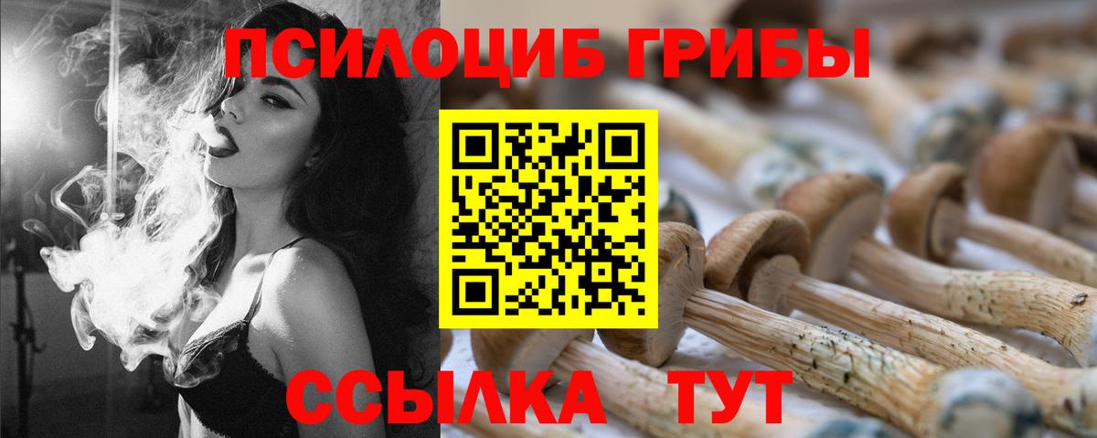 Галлюциногенные грибы Psilocybine cubensis  Псилоцибиновые грибы Cubensis  Вход с VPN  Белово 